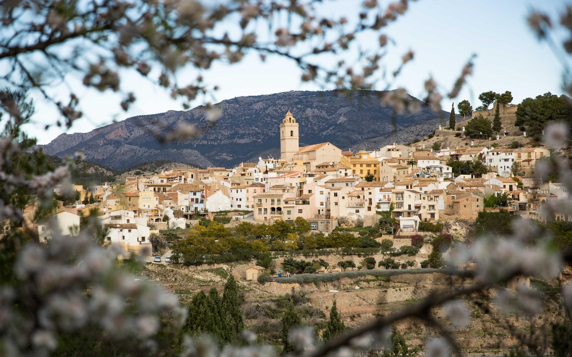 Nouvelle Construction - Villa - Polop