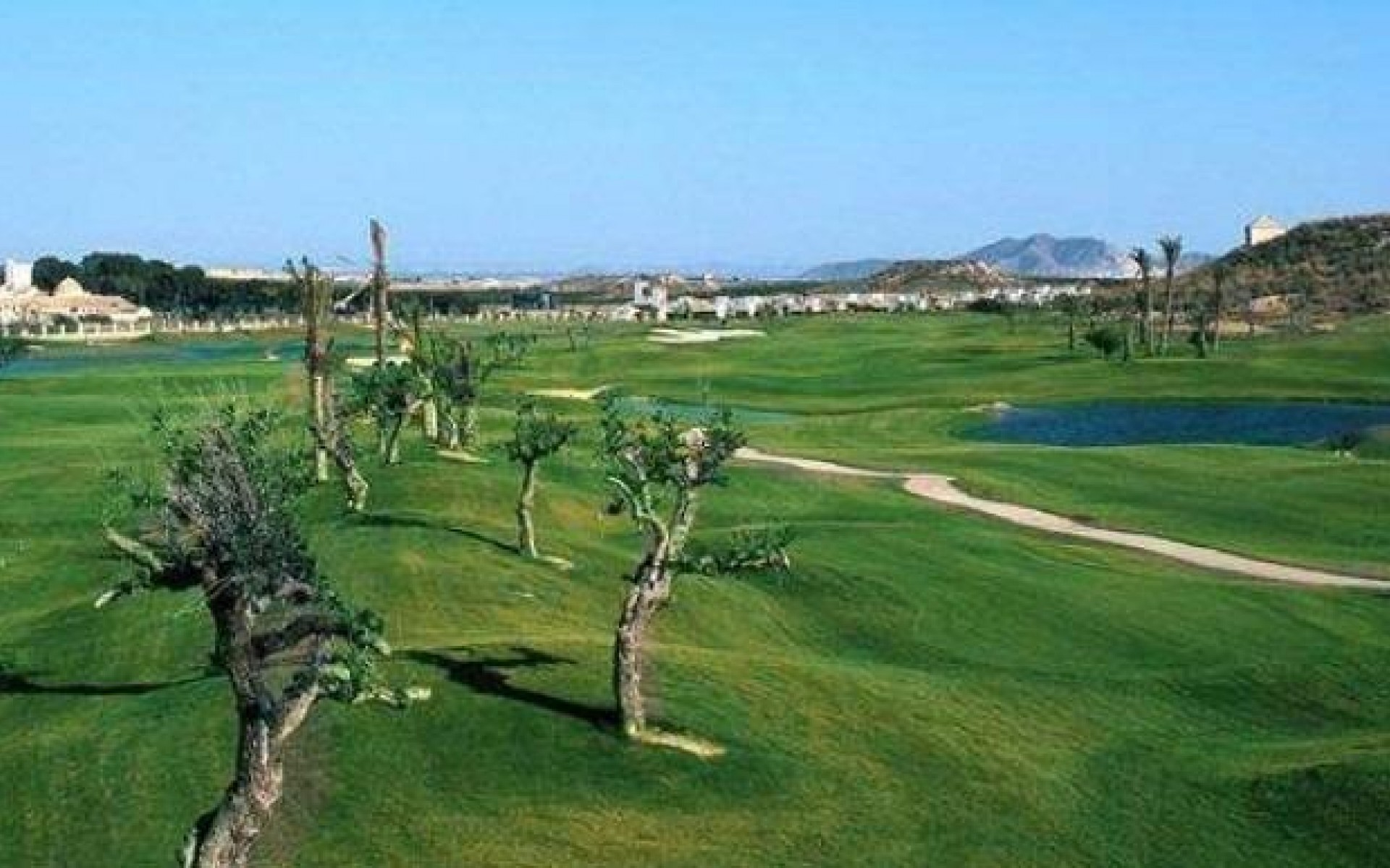 Nouvelle Construction - Villa - Sucina - Peraleja Golf