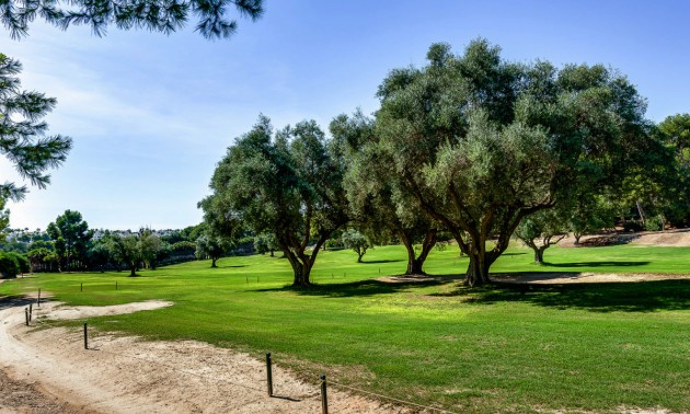 Reihenhaus - zum Verkauf - Villamartin - Villamartin