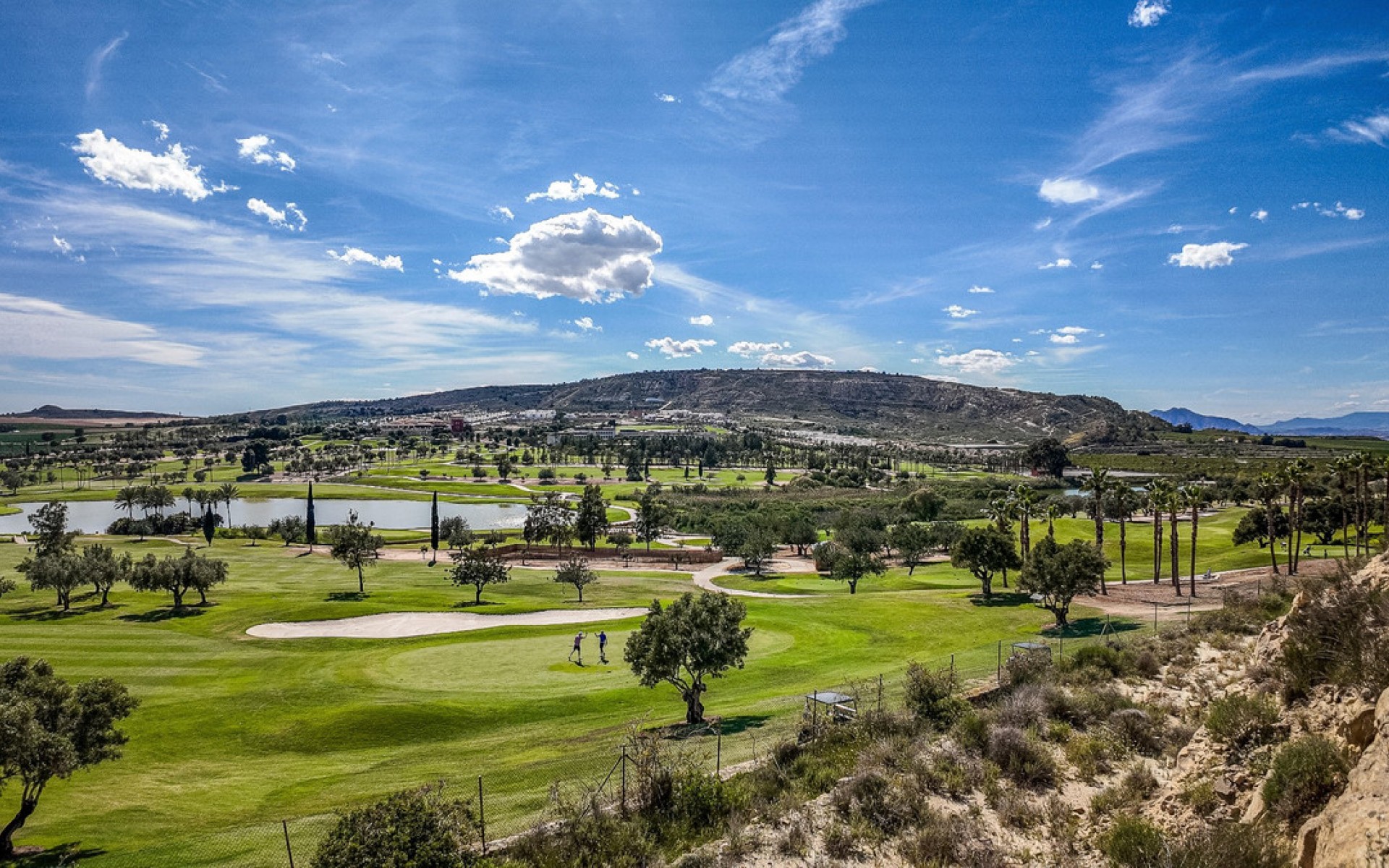 Resale - Apartment - Algorfa - La Finca Golf