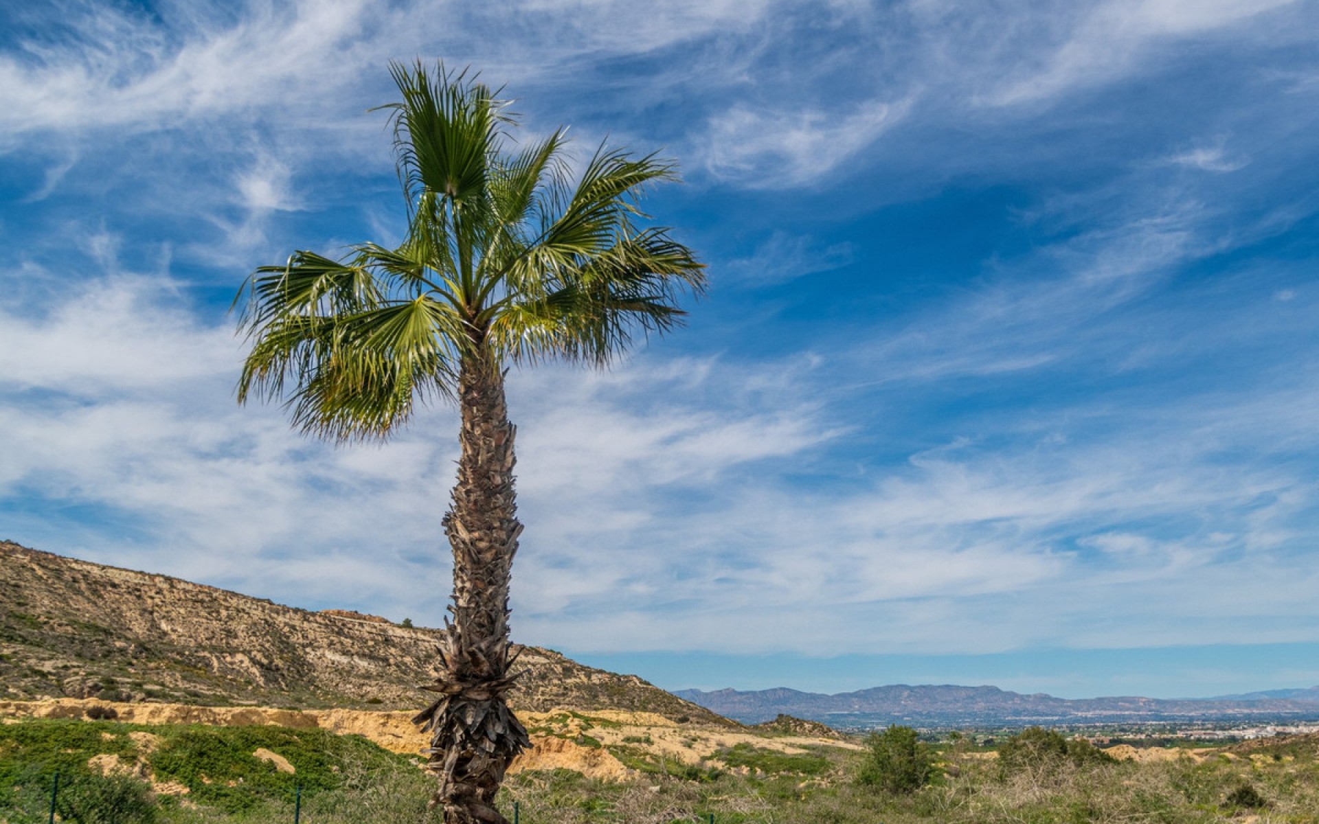 Resale - Apartment - Algorfa - La Finca Golf