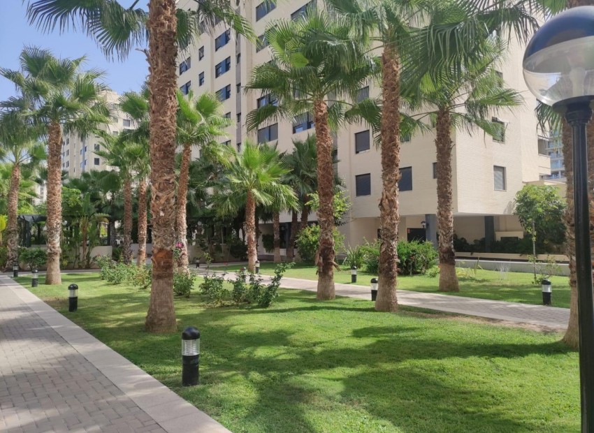 Resale - Apartment - Alicante - Alicante Centro