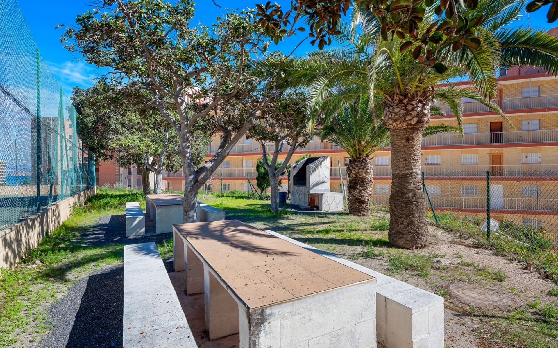 Resale - Apartment - Arenales Del Sol - Segunda linea playa