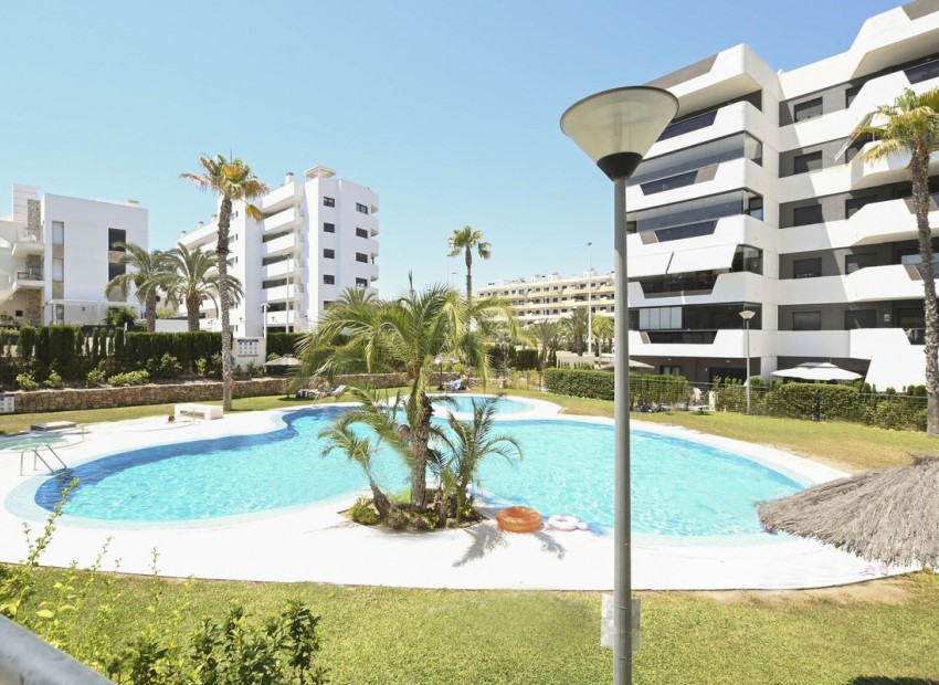 Resale - Apartment - Arenales Del Sol