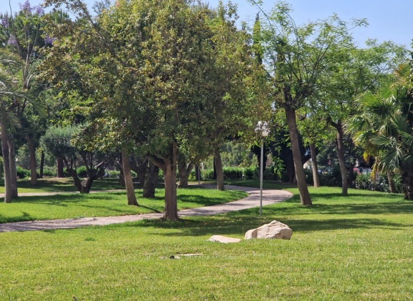 Resale - Apartment - Benidorm - Benidorm Centro