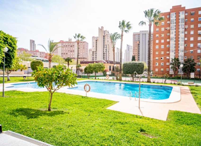 Resale - Apartment - Benidorm - Benidorm Centro