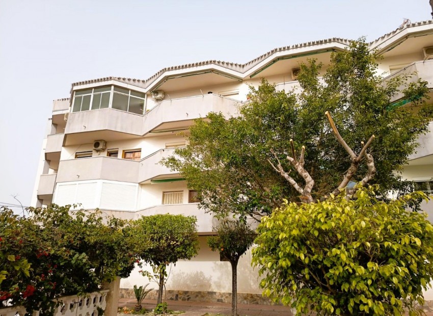 Resale - Apartment - Cabo Roig - La Regia