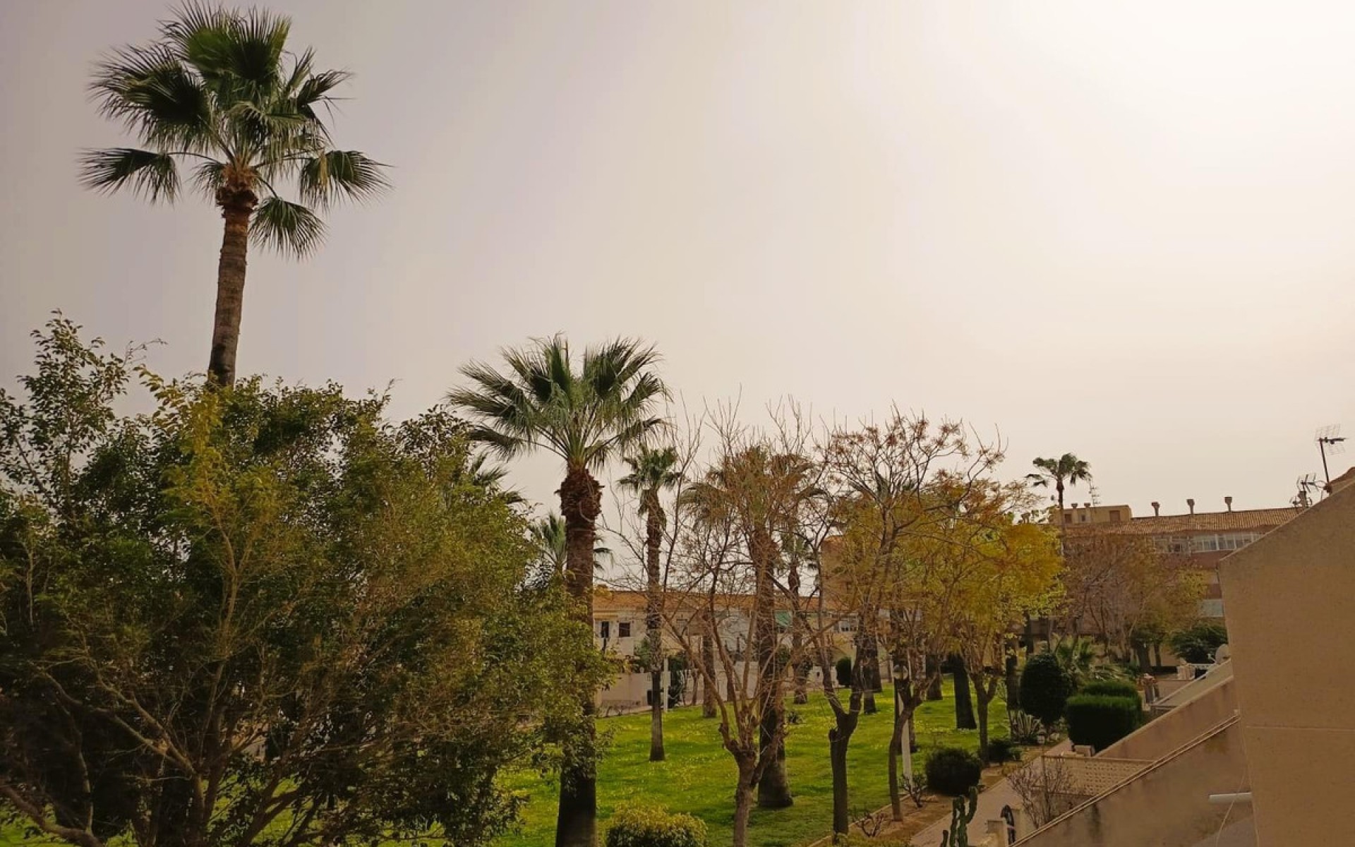 Resale - Apartment - Cabo Roig - La Regia