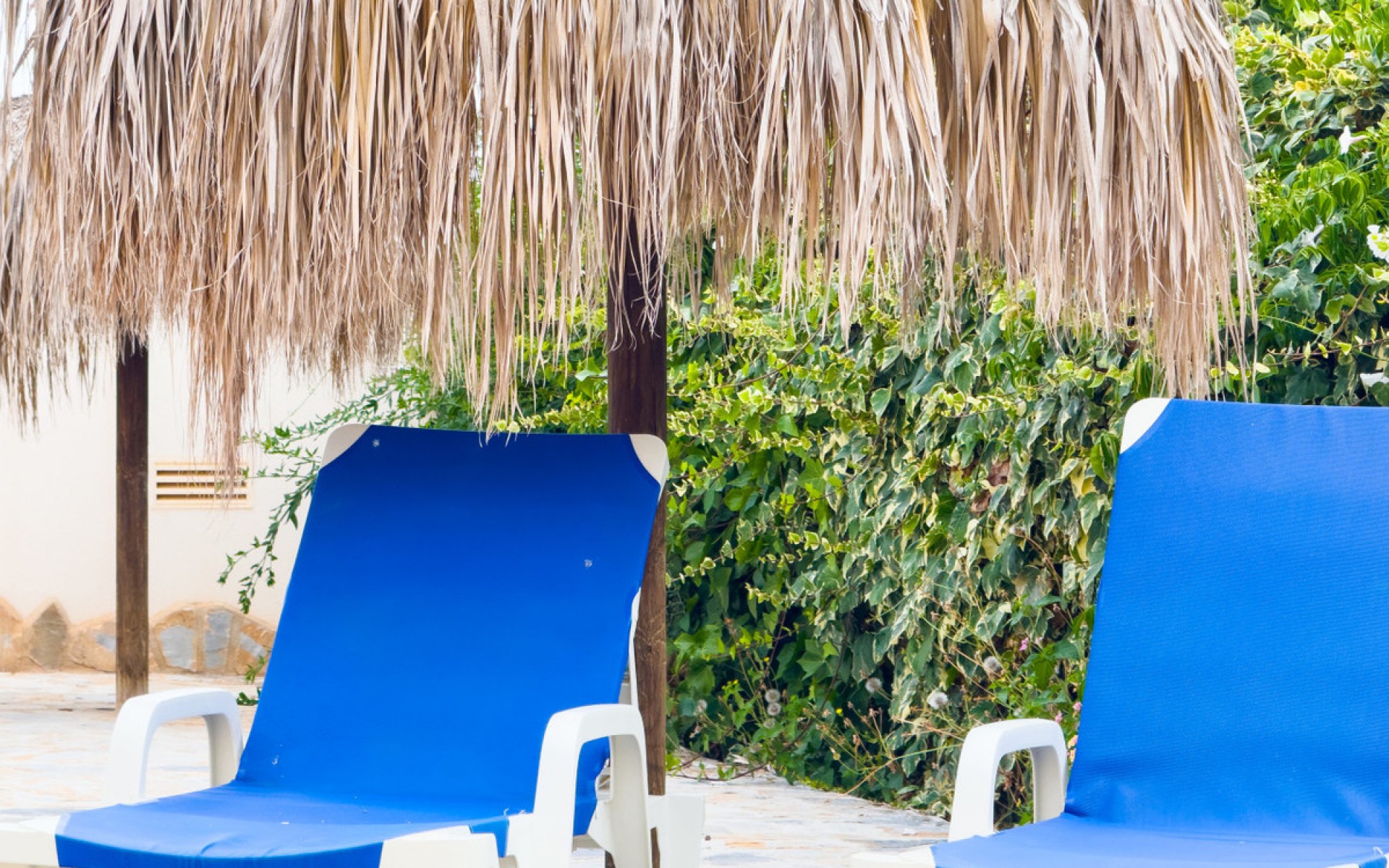 Resale - Apartment - Cabo Roig