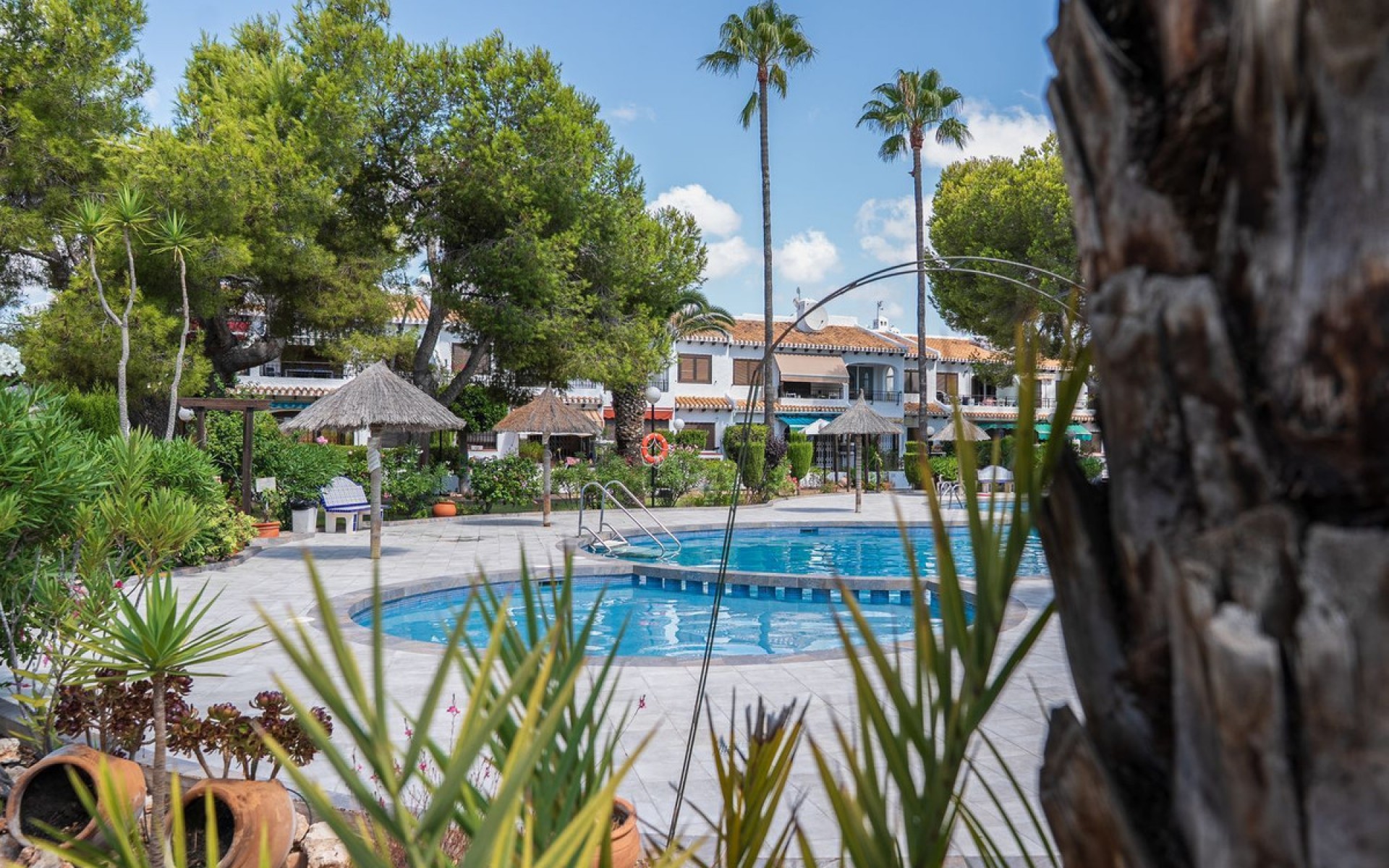 Resale - Apartment - Cabo Roig