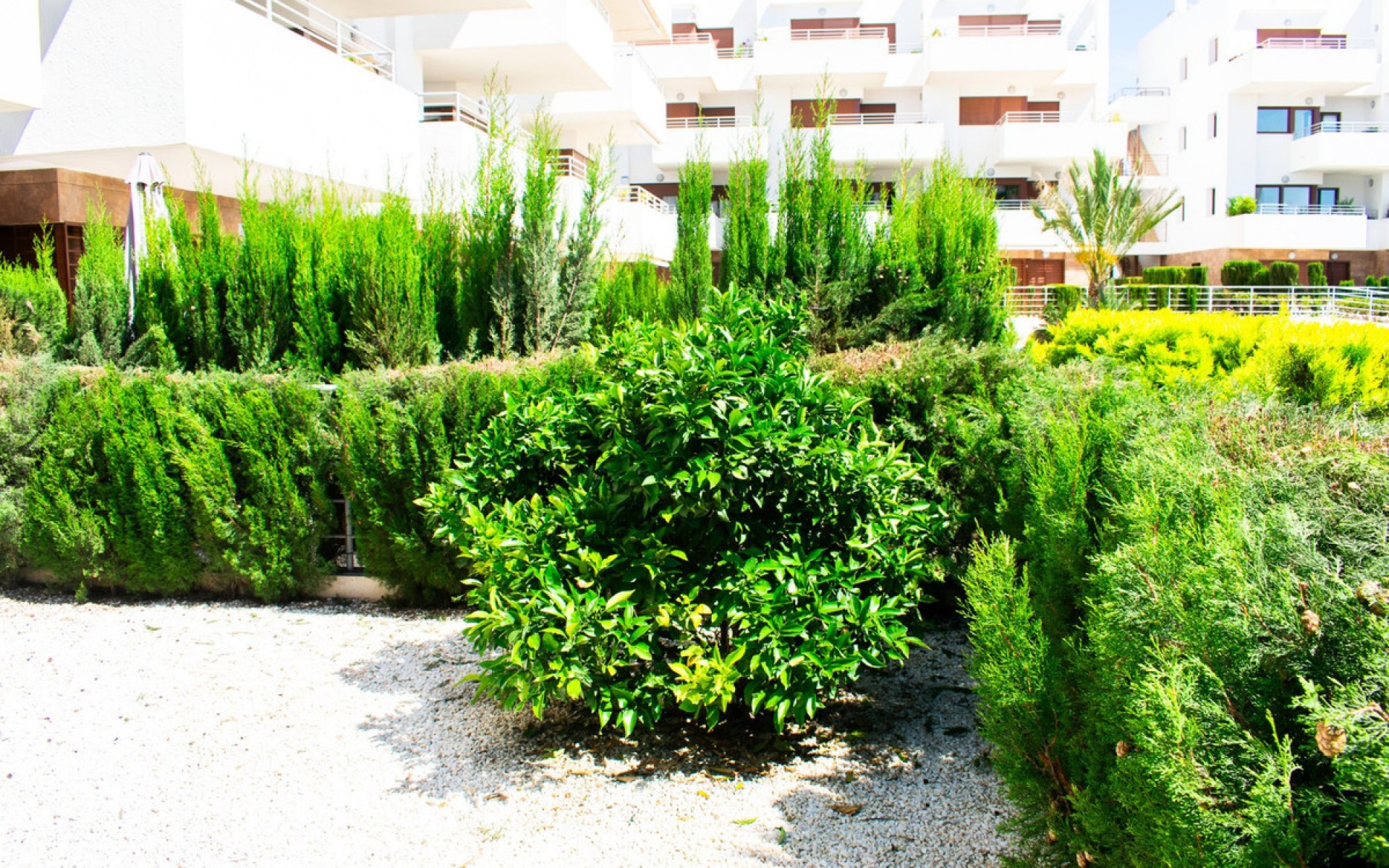 Resale - Apartment - Cabo Roig
