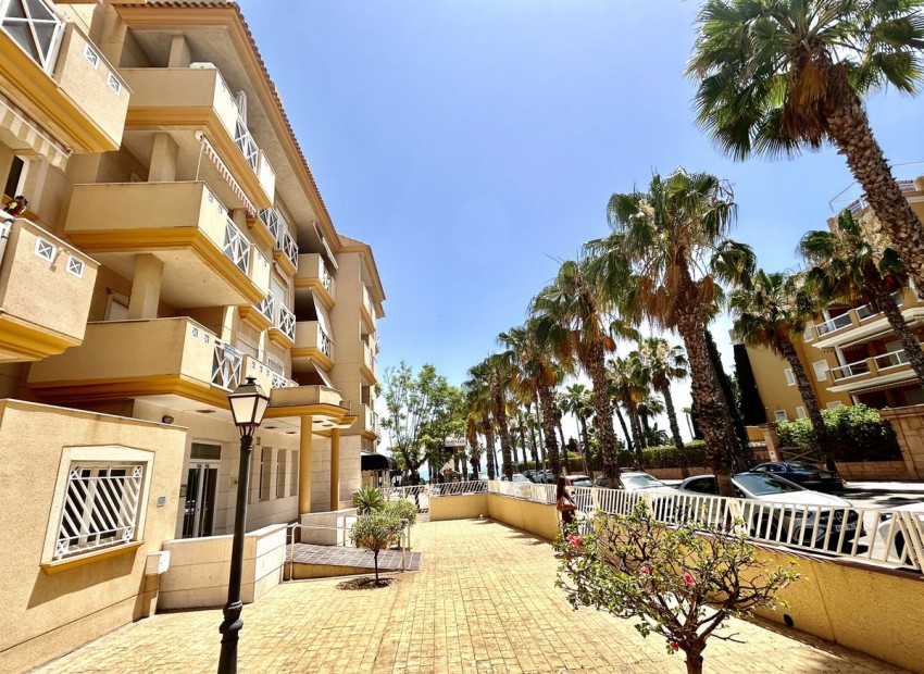Resale - Apartment - Cabo Roig