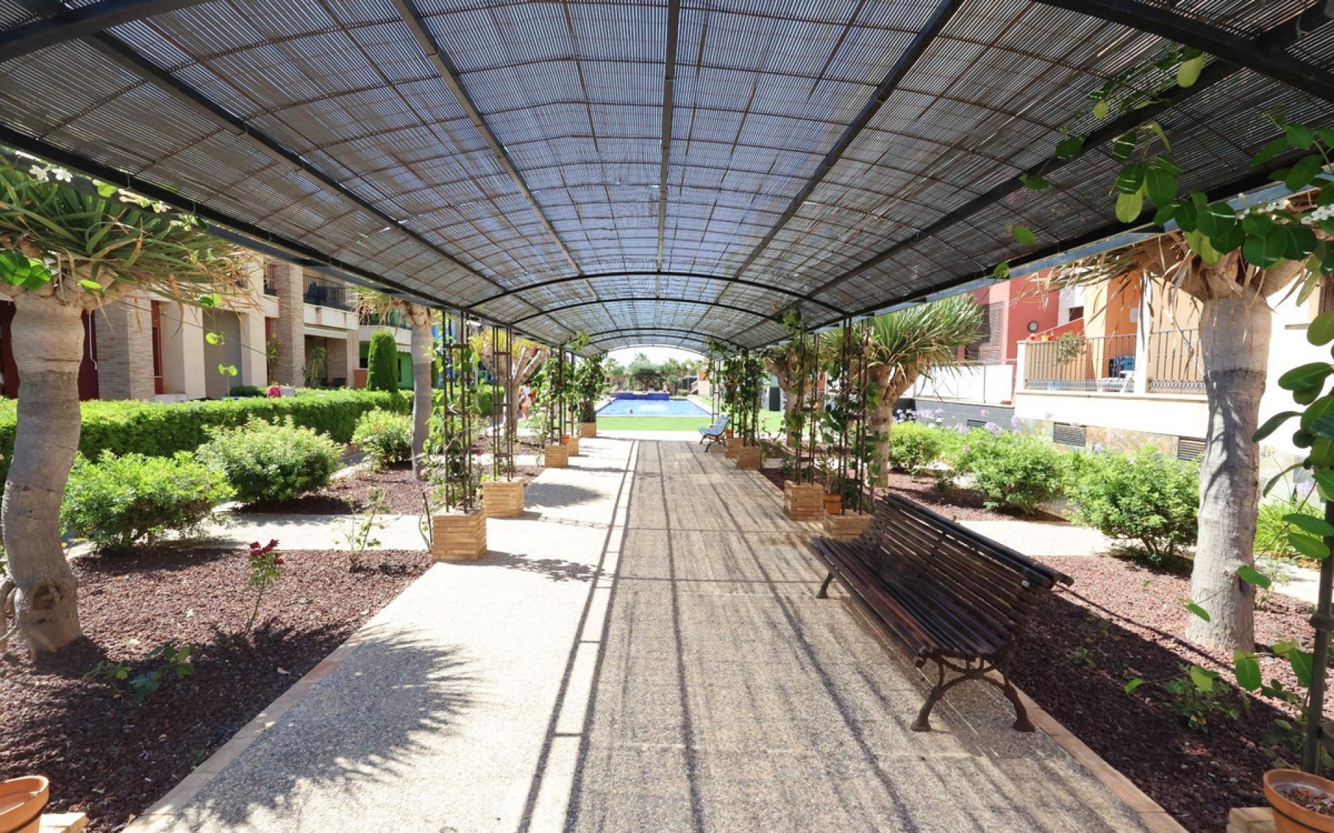 Resale - Apartment - Cabo Roig