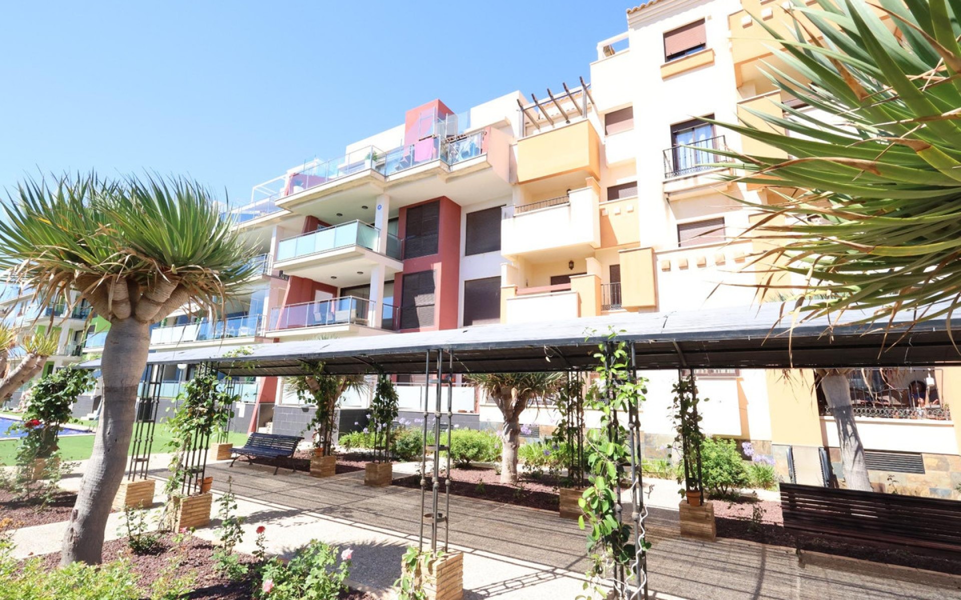 Resale - Apartment - Cabo Roig
