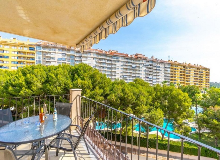 Resale - Apartment - Campoamor