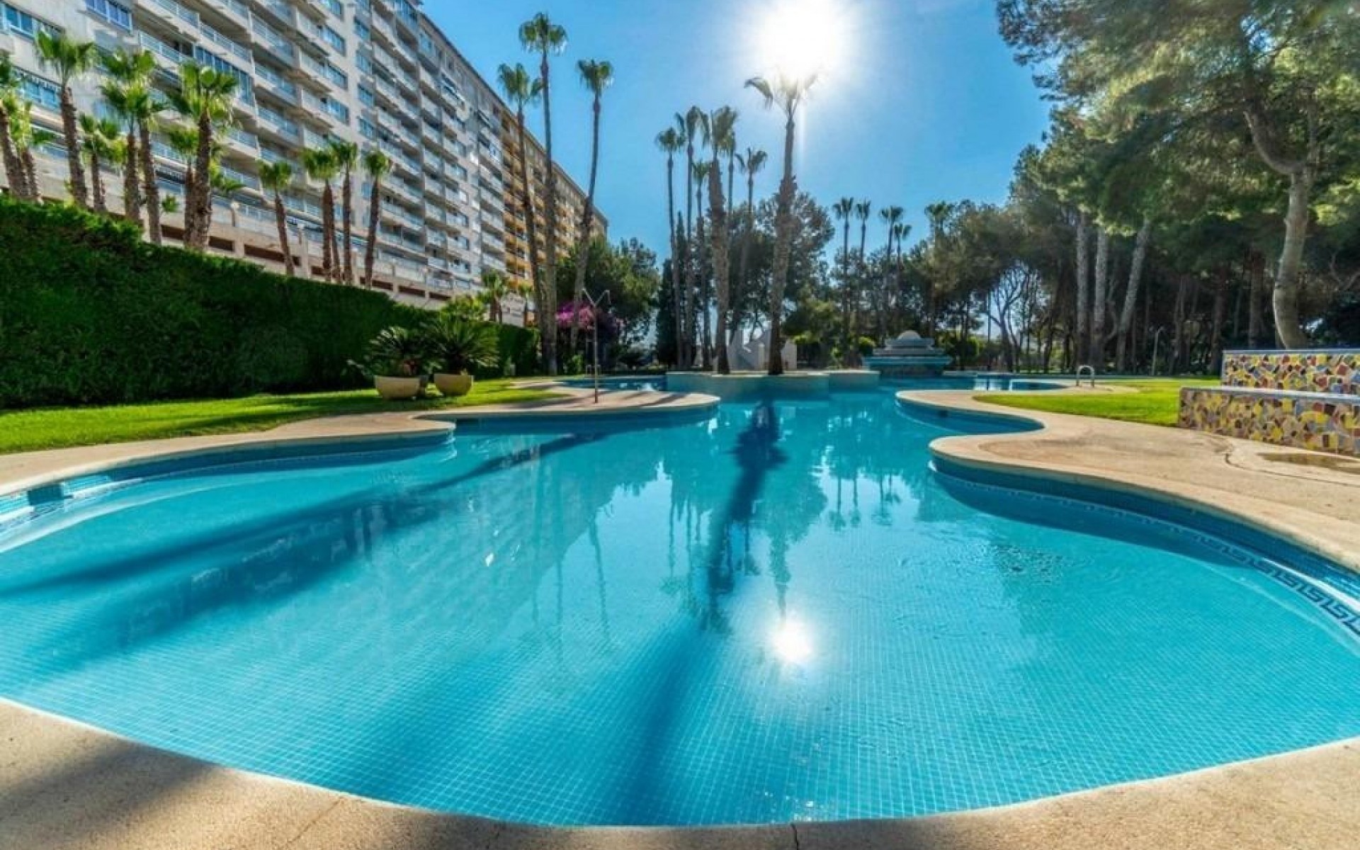 Resale - Apartment - Campoamor