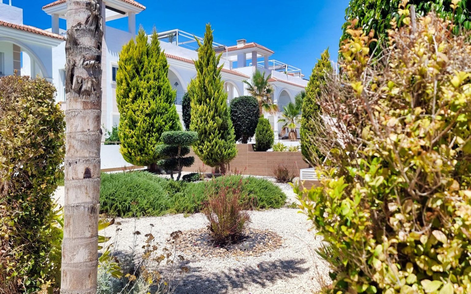 Resale - Apartment - Ciudad Quesada - Doña Pepa
