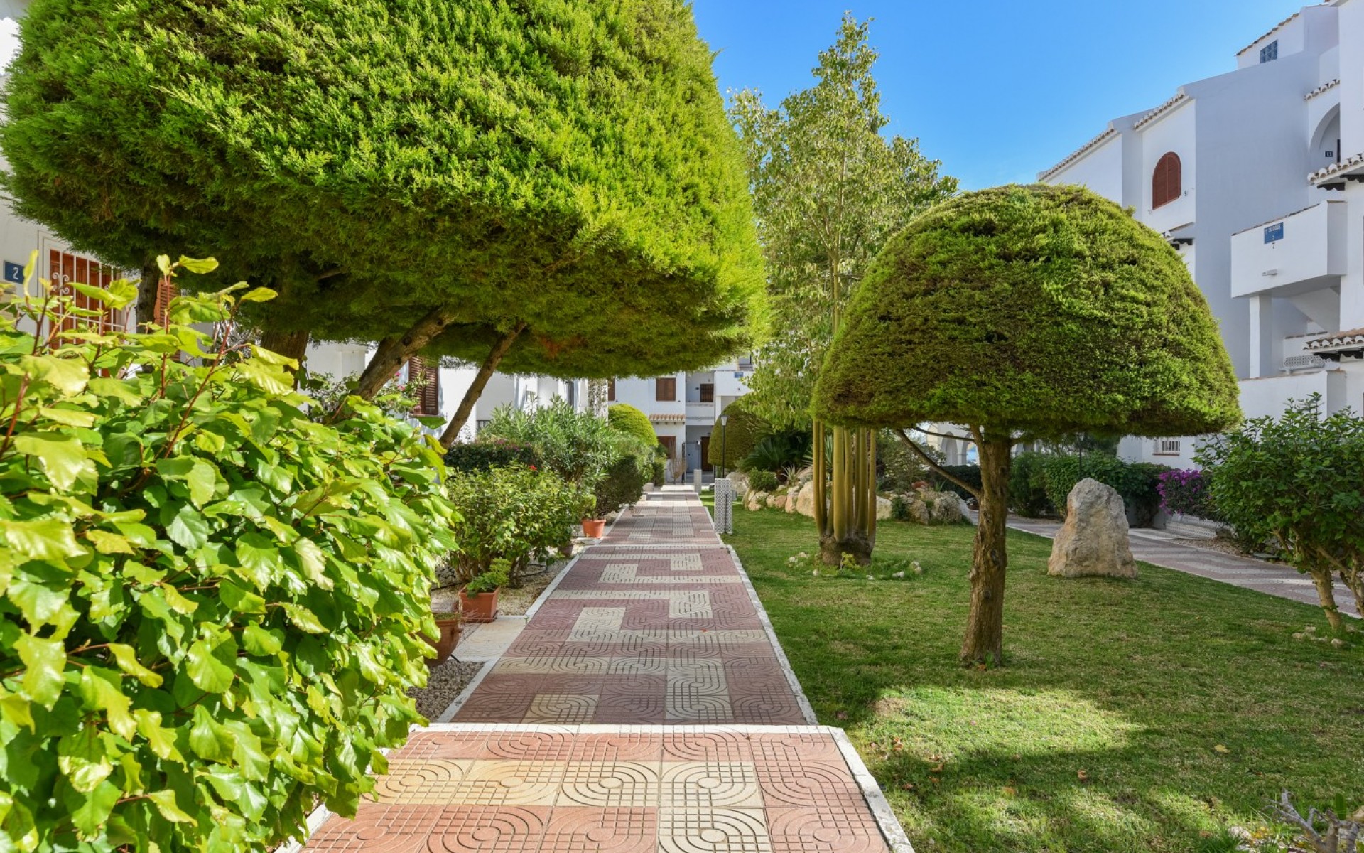 Resale - Apartment - Ciudad Quesada