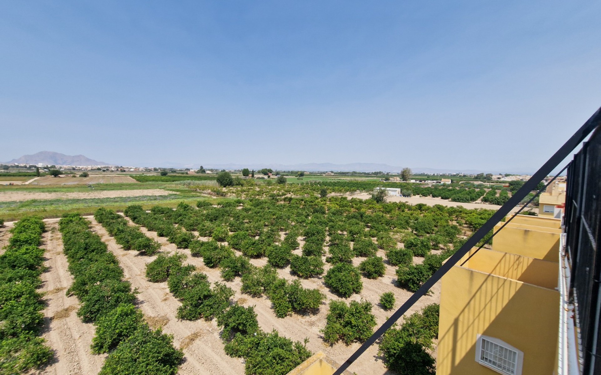 Resale - Apartment - Daya Nueva