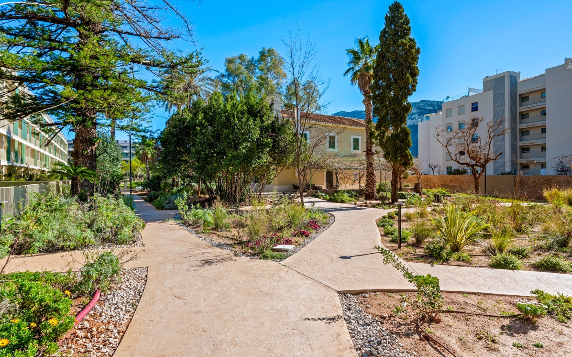 Resale - Apartment - Dénia