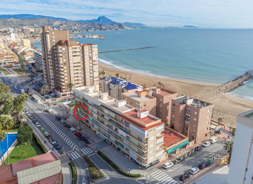 Resale - Apartment - El Campello - El Campello 