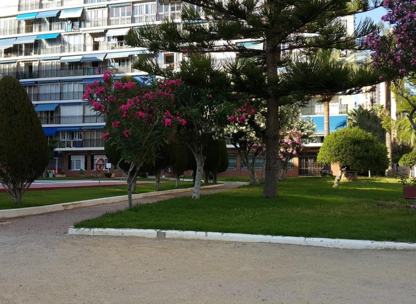 Resale - Apartment - Finestrat