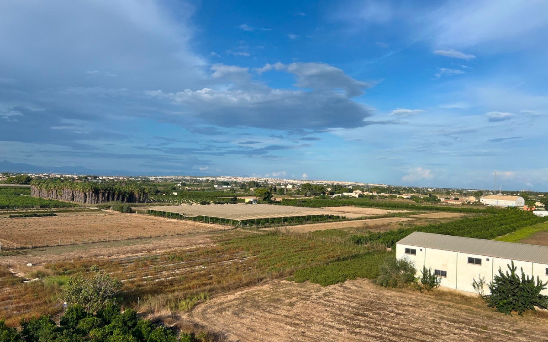 Resale - Apartment - Formentera Del Segura - Formentera del Segura Centro