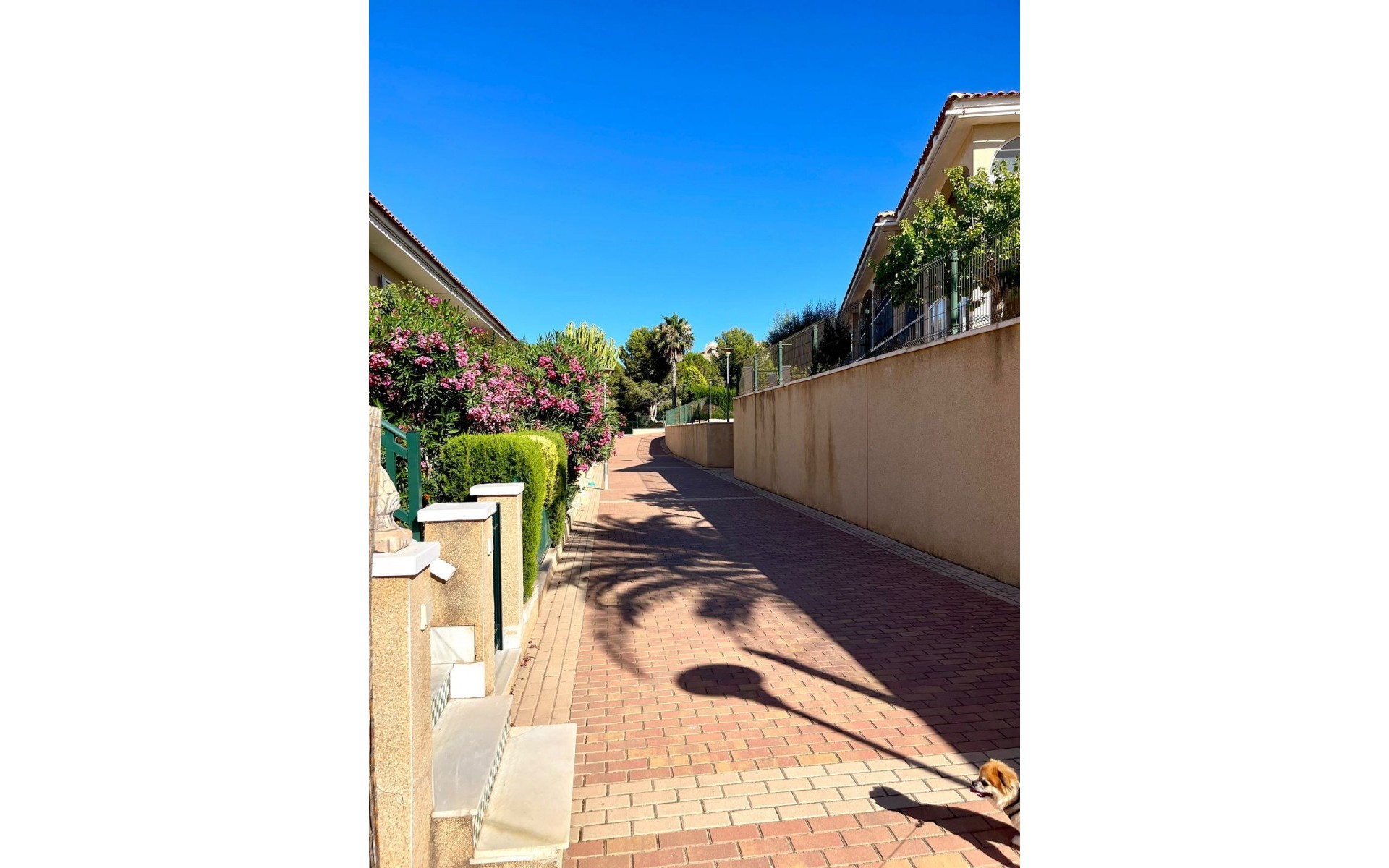 Resale - Apartment - Gran Alacant