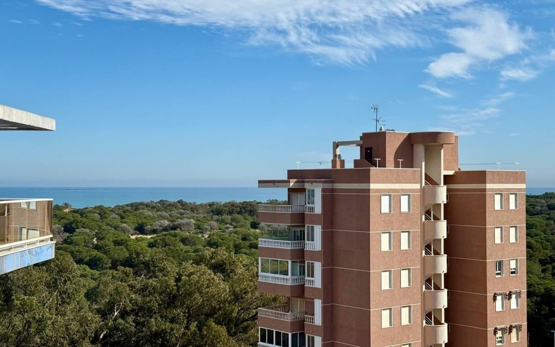 Resale - Apartment - Guardamar Del Segura - Guardamar del Segura Centro