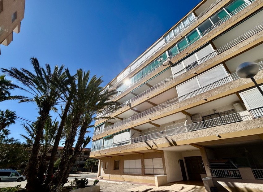 Resale - Apartment - Guardamar Del Segura - Guardamar del Segura Centro