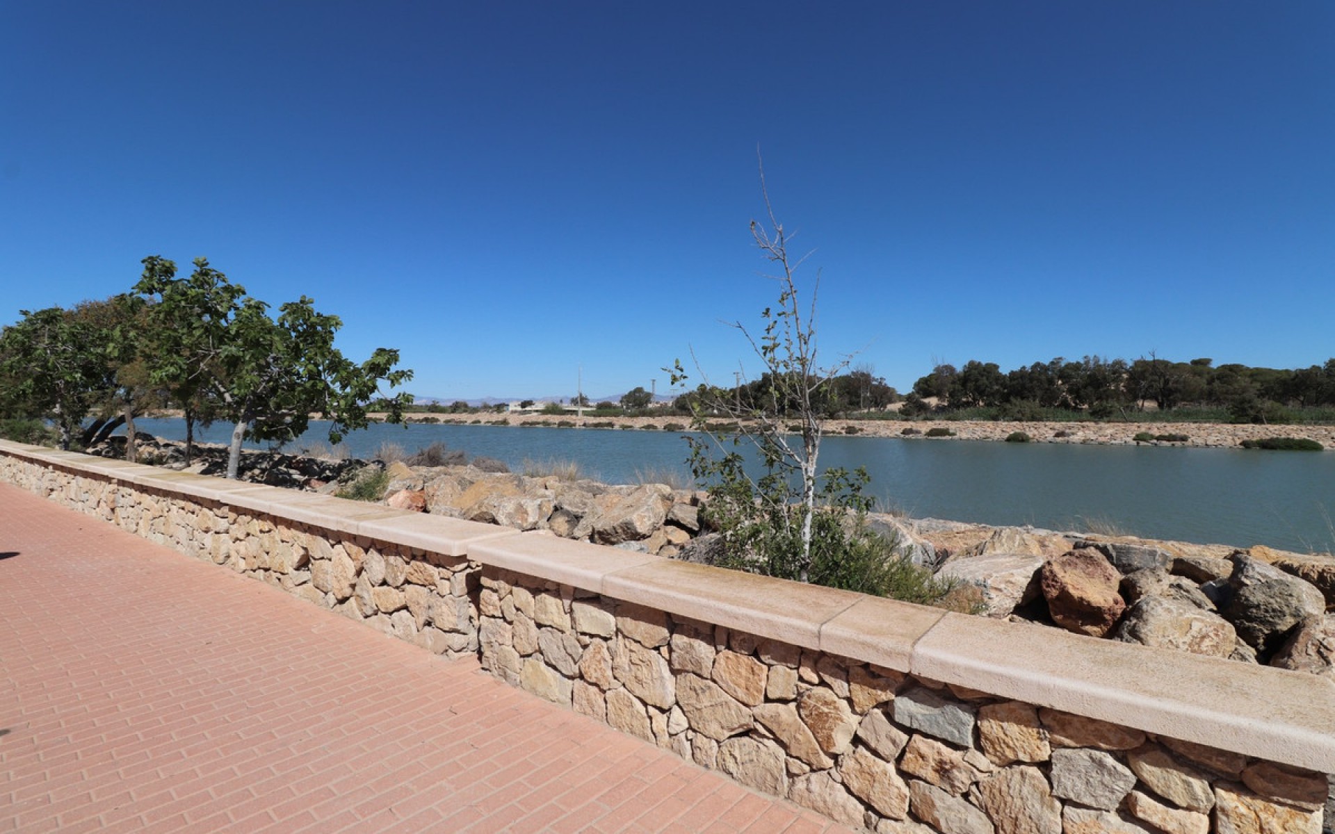 Resale - Apartment - Guardamar Del Segura - Guardamar del Segura Centro