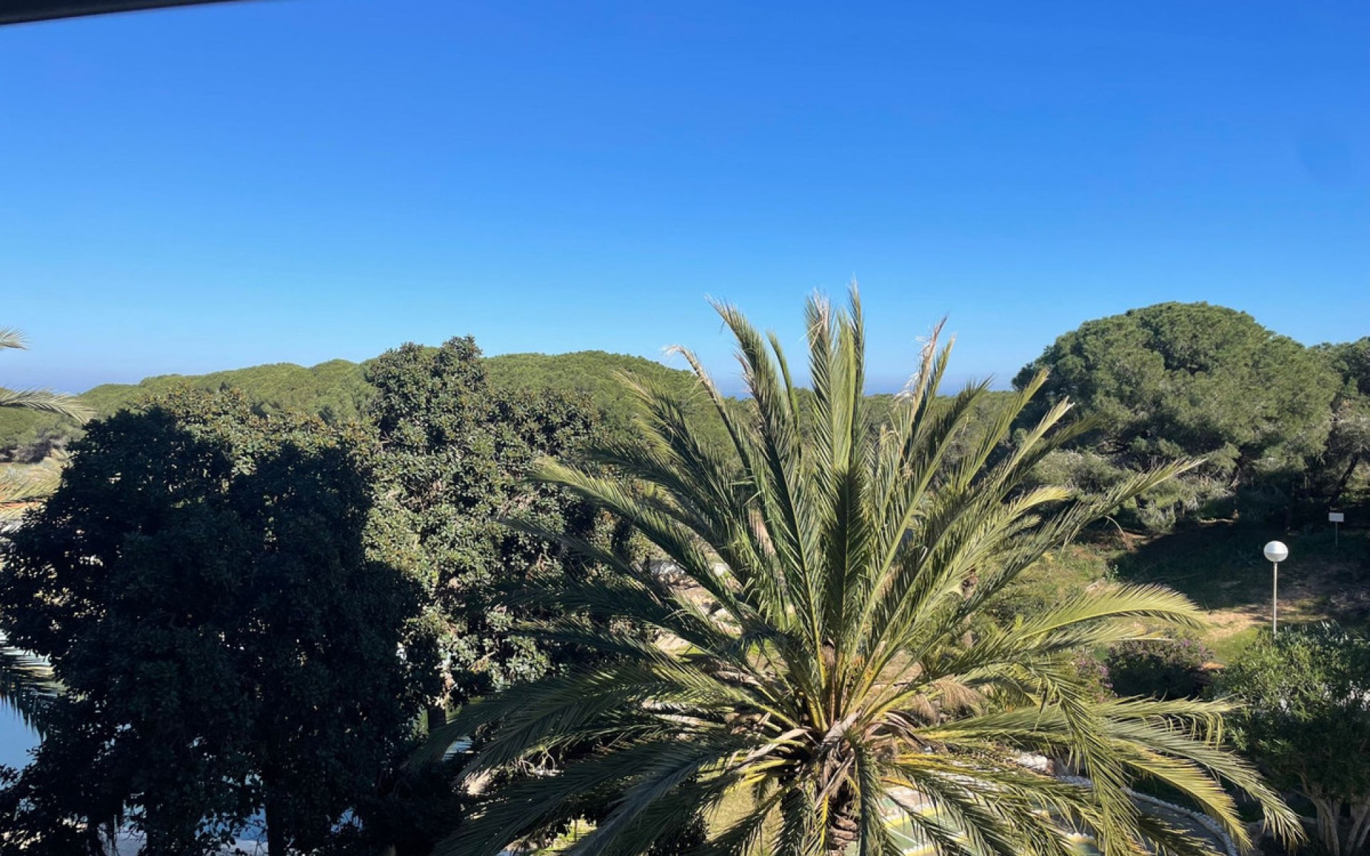 Resale - Apartment - Guardamar Del Segura - Guardamar del Segura Centro