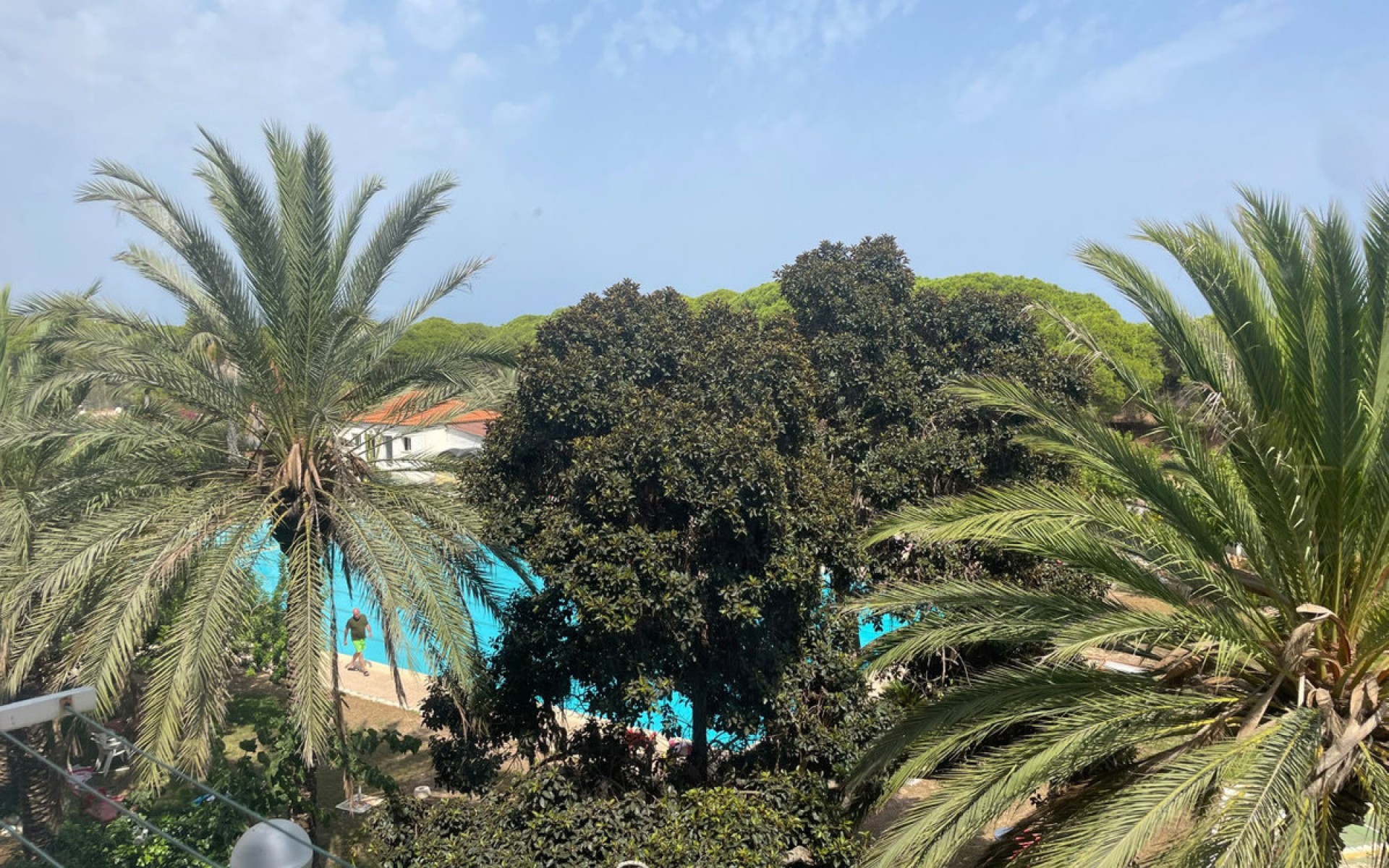 Resale - Apartment - Guardamar Del Segura - Guardamar del Segura Centro