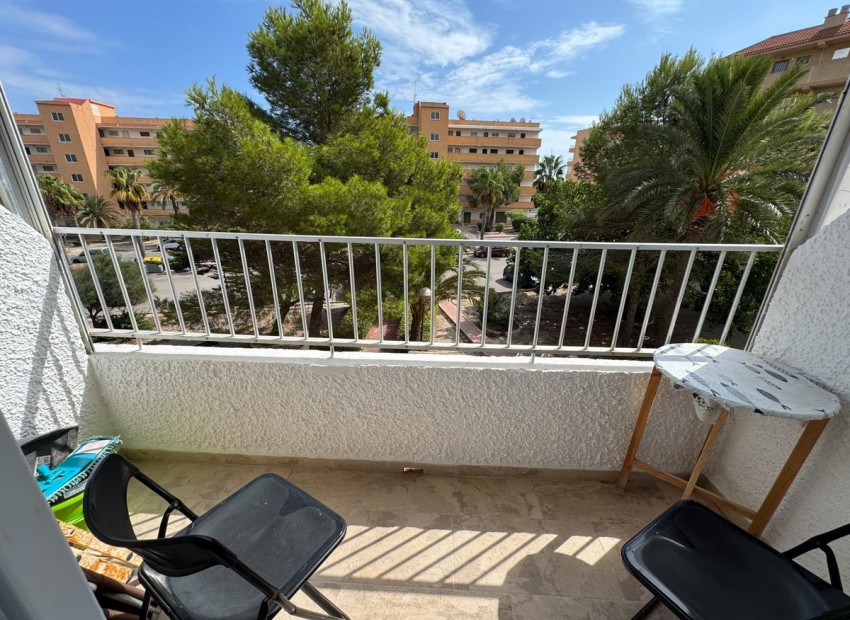 Resale - Apartment - Guardamar Del Segura - Guardamar del Segura Centro