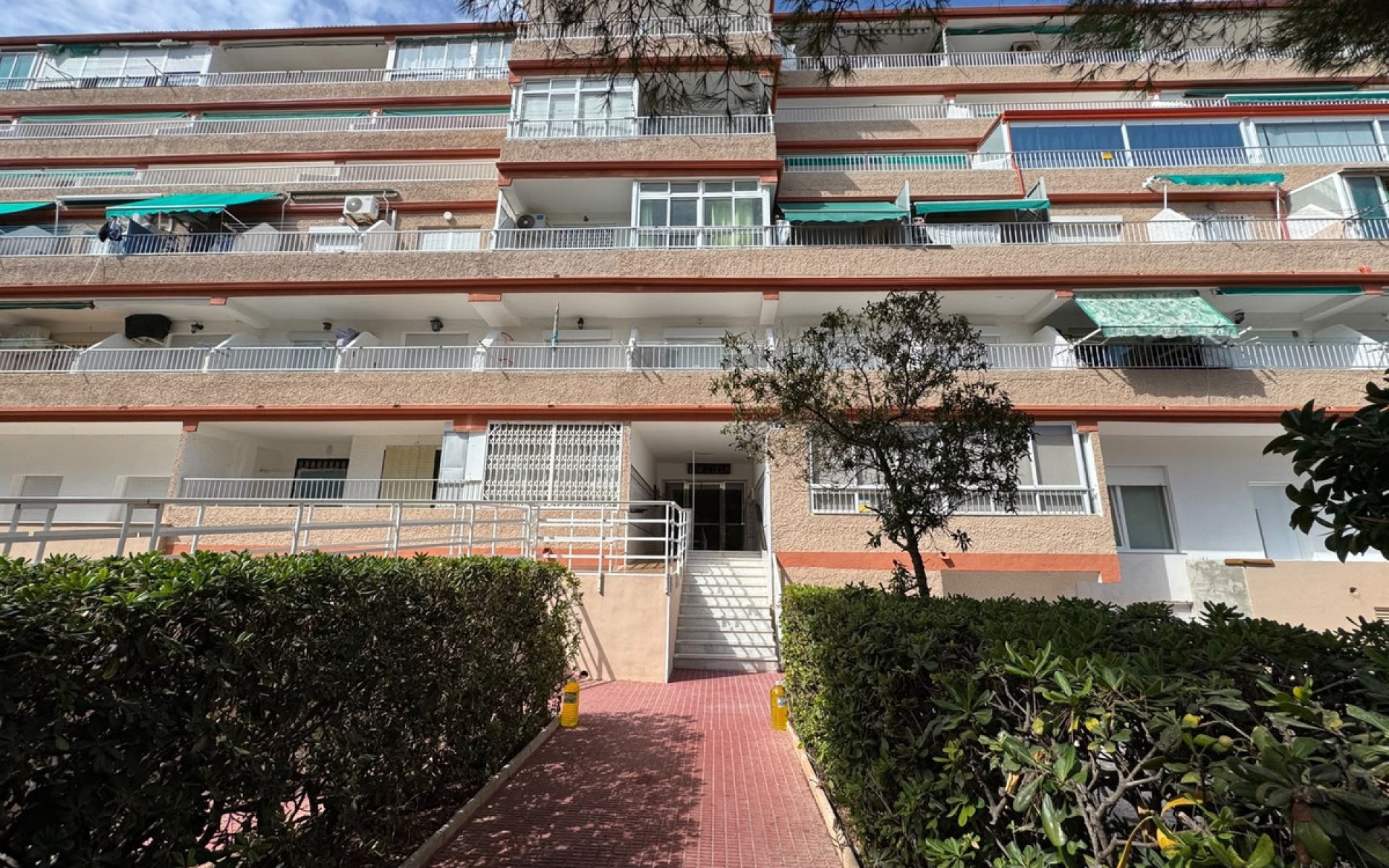 Resale - Apartment - Guardamar Del Segura - Guardamar del Segura Centro
