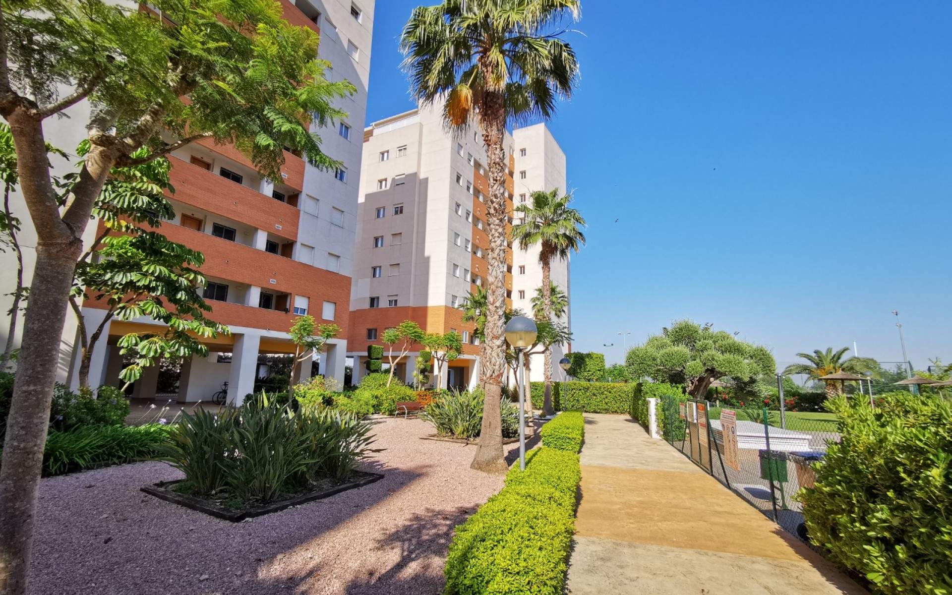 Resale - Apartment - Guardamar Del Segura - Guardamar del Segura