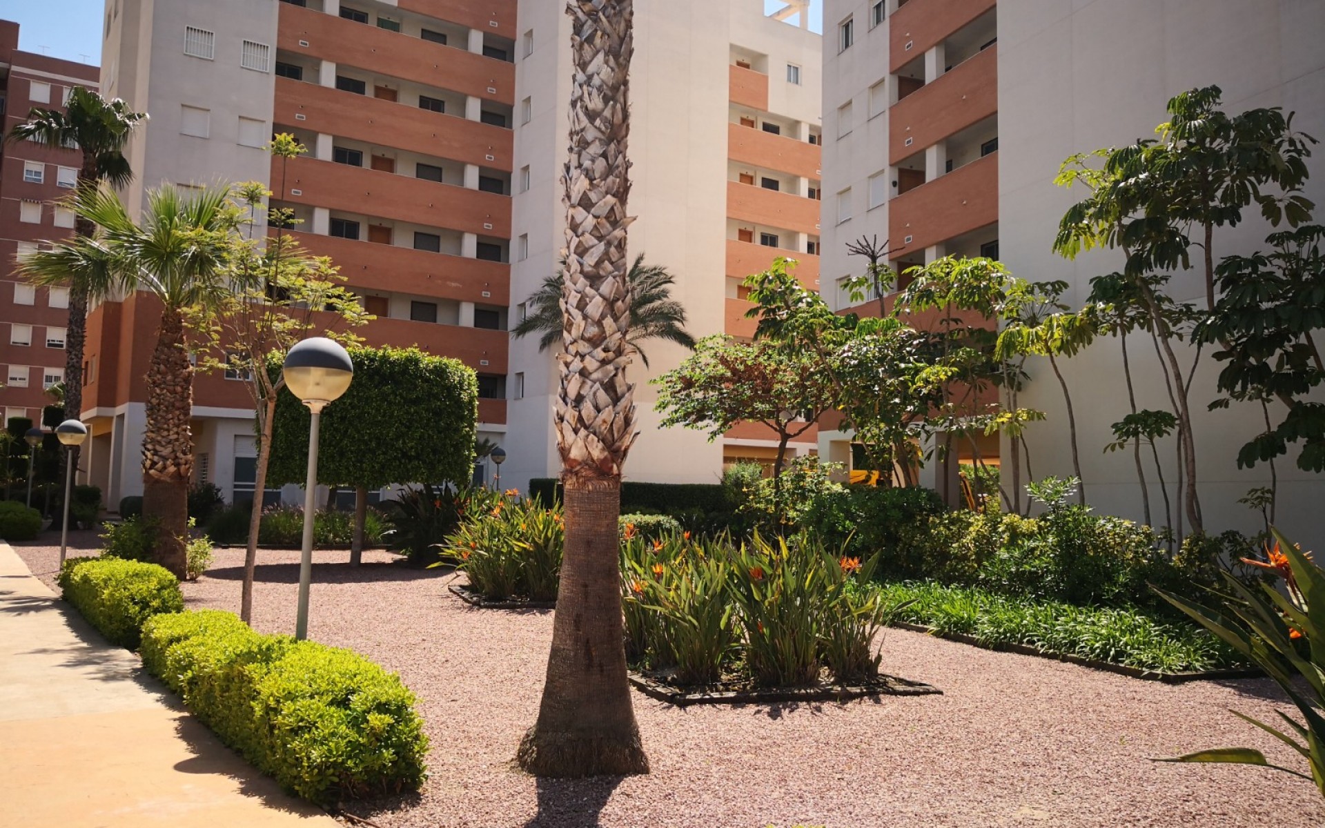 Resale - Apartment - Guardamar Del Segura - Guardamar del Segura
