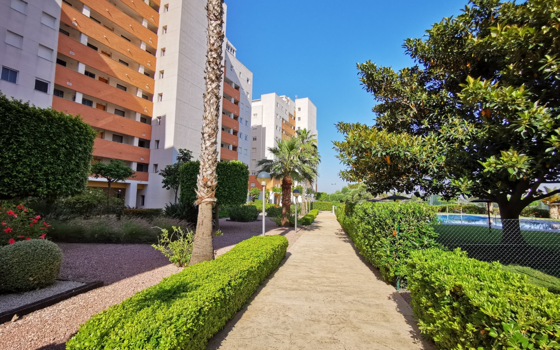Resale - Apartment - Guardamar Del Segura - Guardamar del Segura