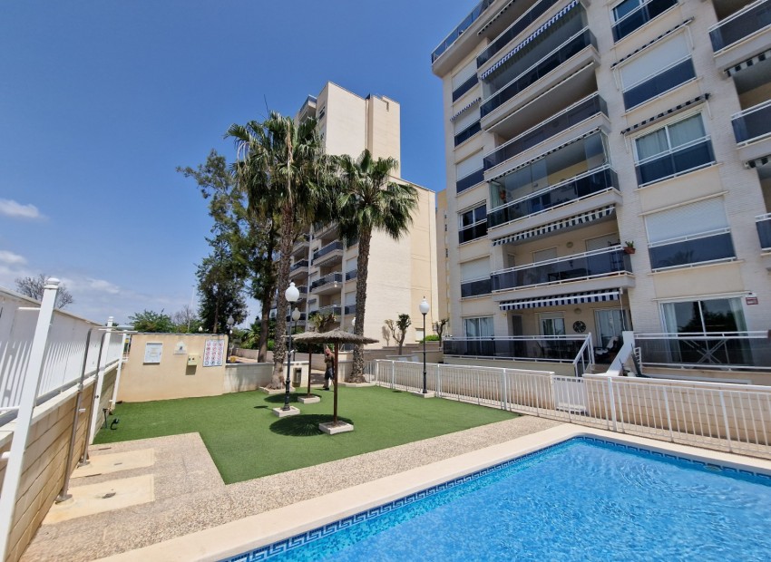 Resale - Apartment - Guardamar Del Segura - Guardamar del Segura