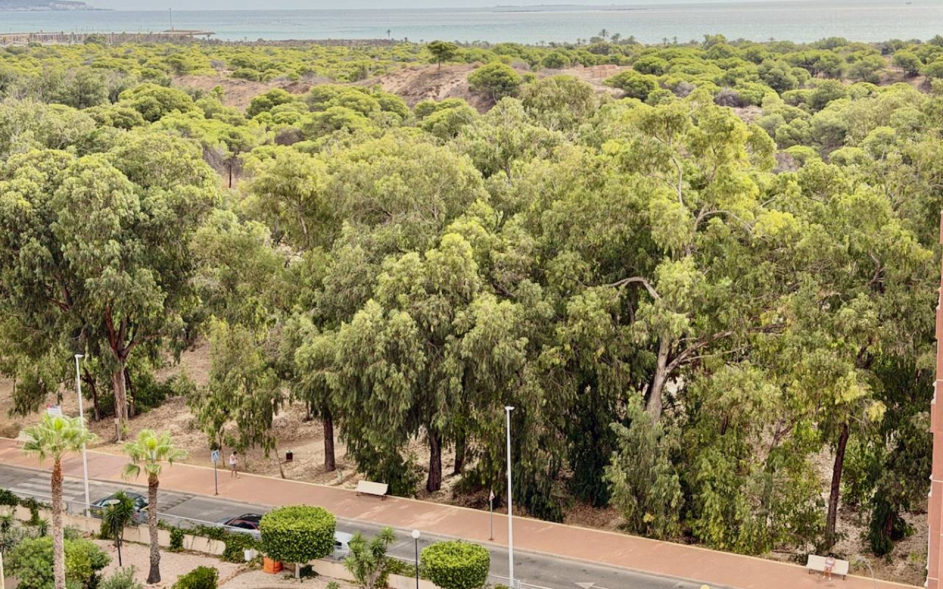 Resale - Apartment - Guardamar Del Segura - Guardamar del Segura