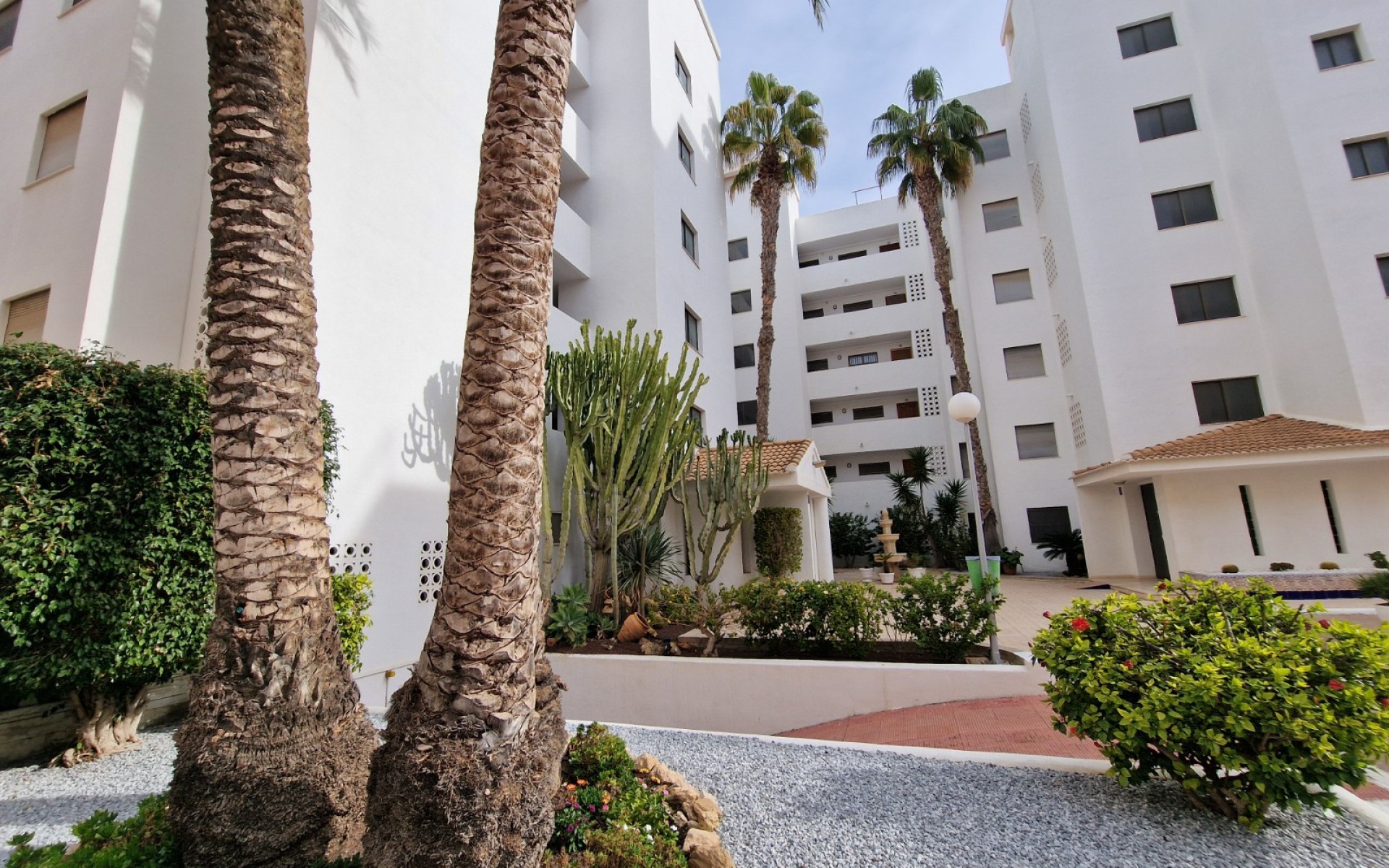 Resale - Apartment - Guardamar Del Segura - Mercadona Guardamar