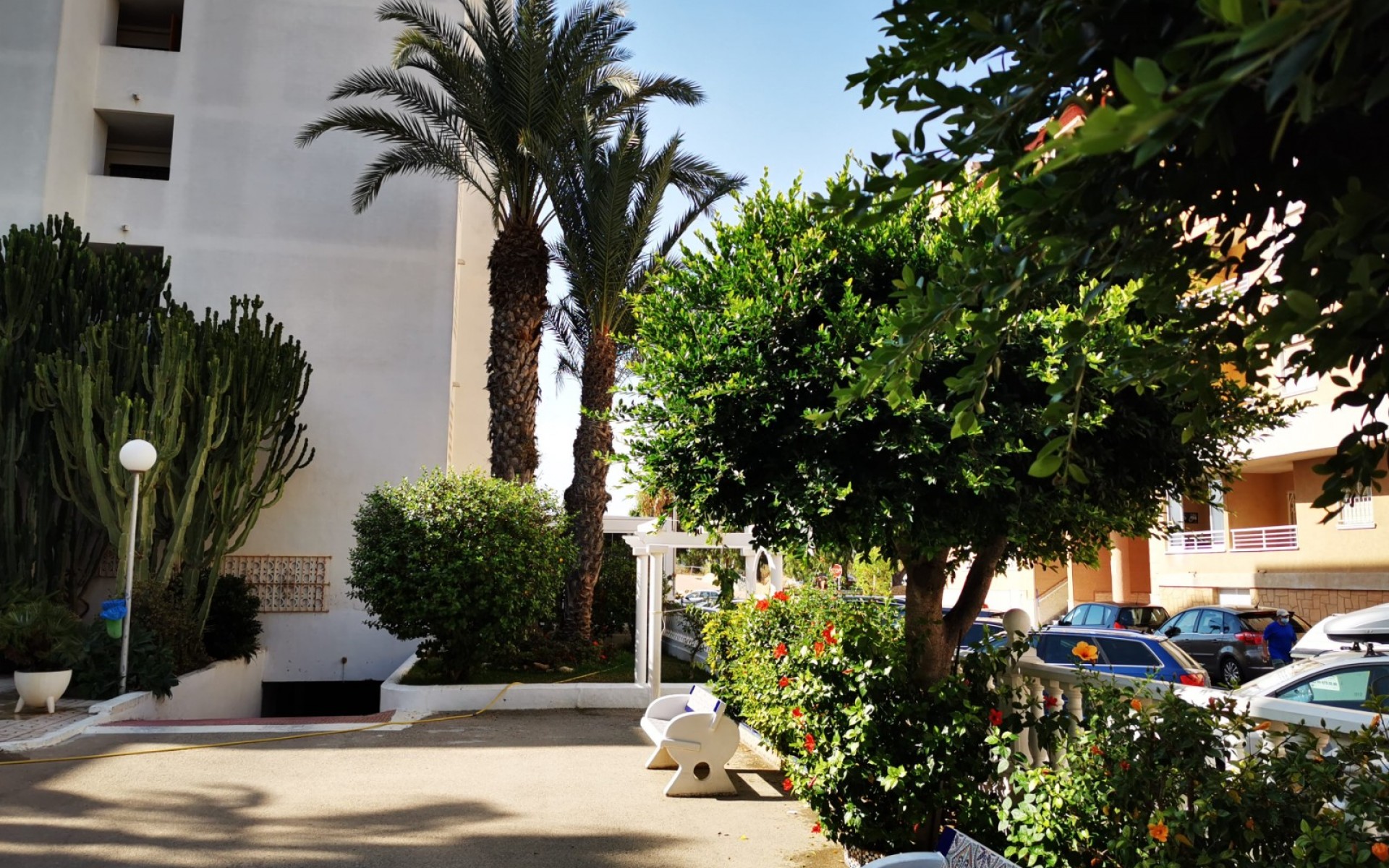 Resale - Apartment - Guardamar Del Segura - Mercadona Guardamar