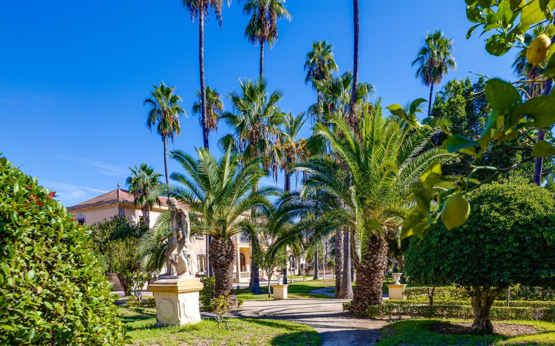 Resale - Apartment - Jacarilla