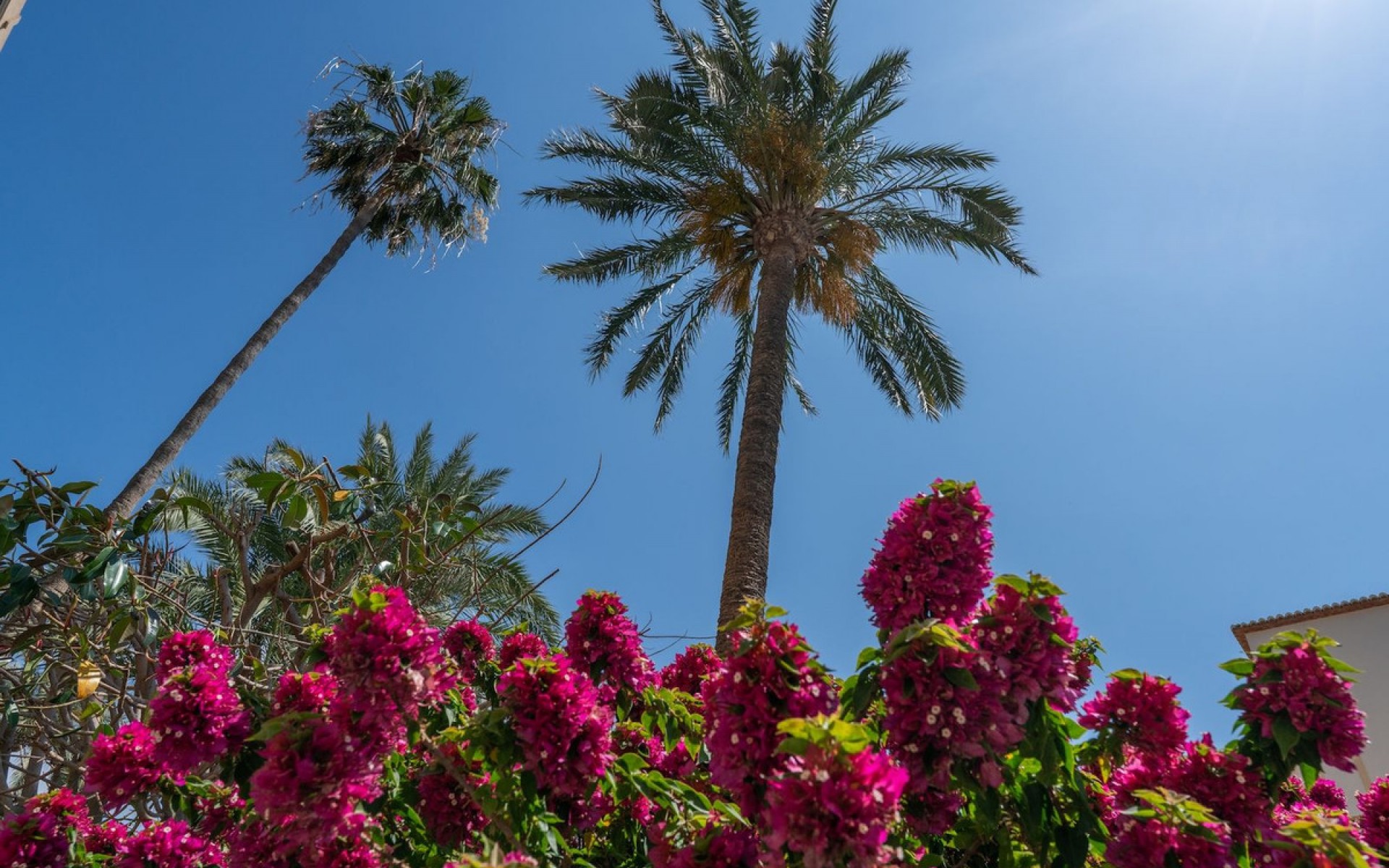 Resale - Apartment - Javea - Jávea - Xàbia Centro