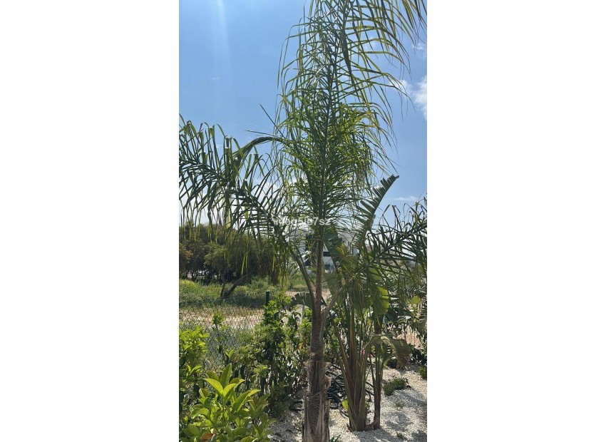 Resale - Apartment - Javea - Jávea - Xàbia Centro