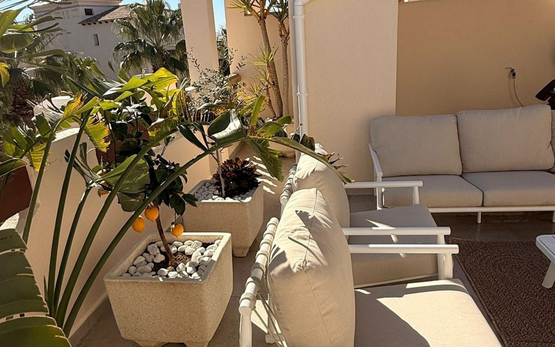 Resale - Apartment - Las Ramblas