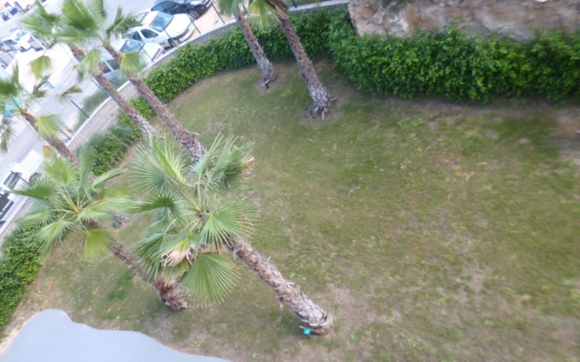 Resale - Apartment - Los Altos