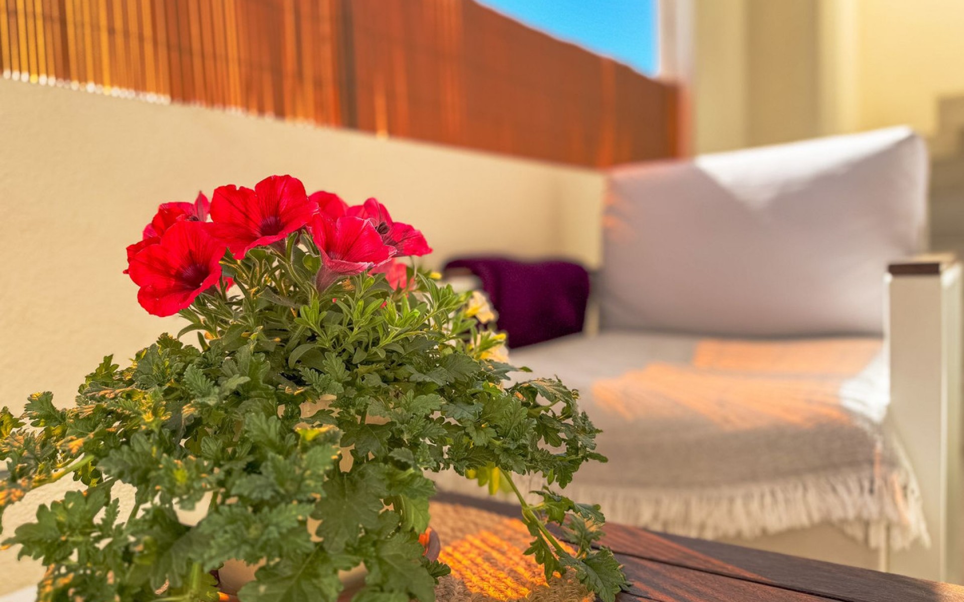 Resale - Apartment - Los Altos