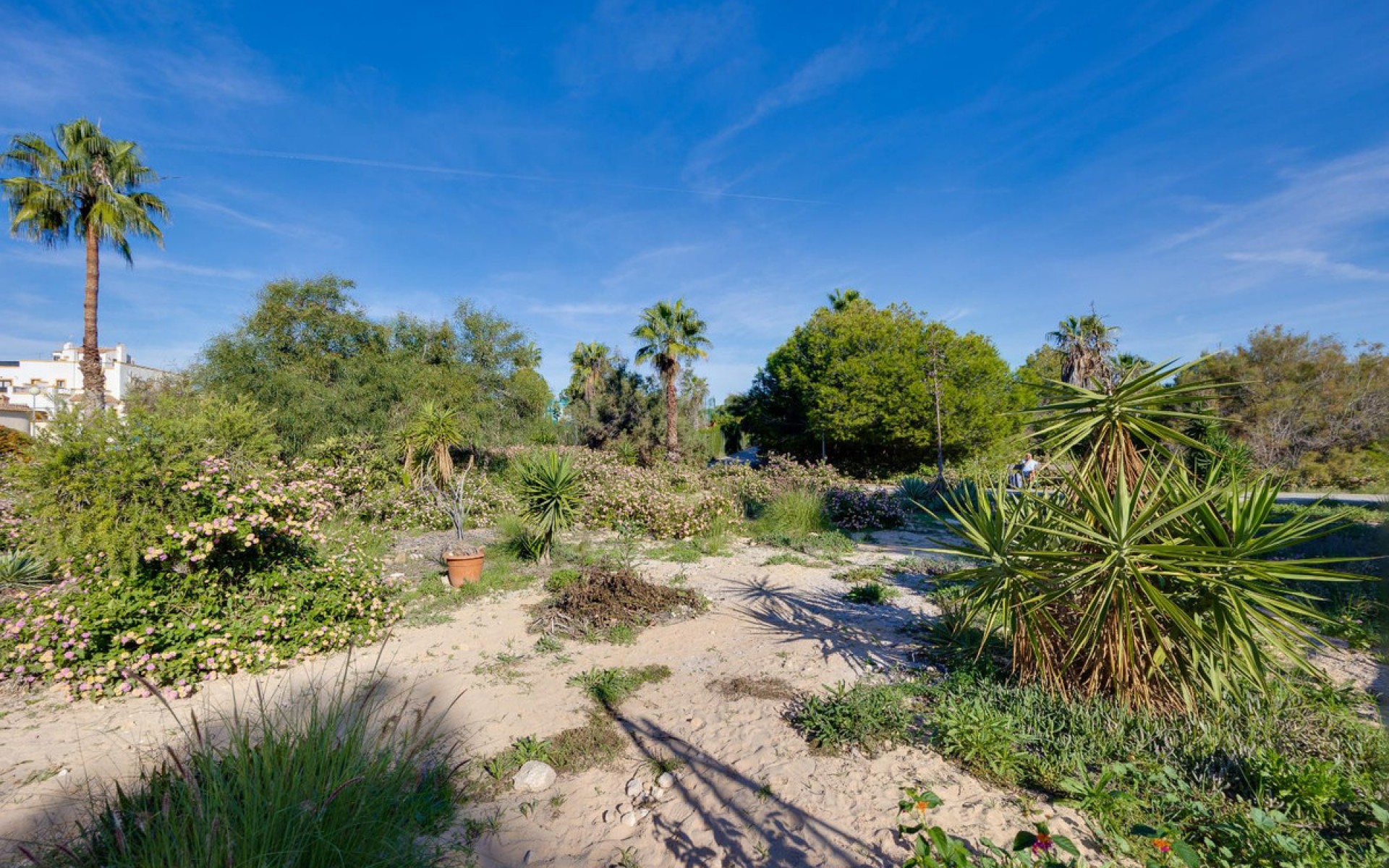 Resale - Apartment - Los Altos