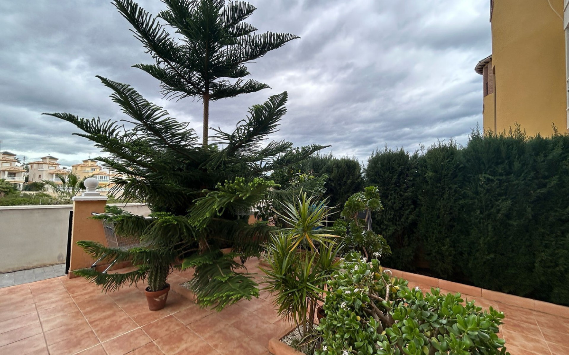 Resale - Apartment - Los Dolses